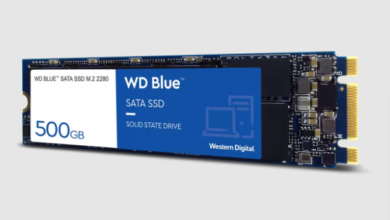 WD Blue 3D NAND SATA SSD M.2 2280